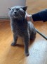 Bebe (1)